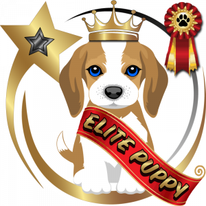 Elite Puppy